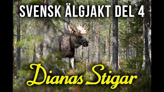 Svensk Älgjakt del 4 (2012)