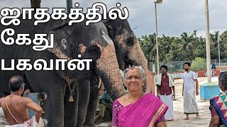 ஜோதிட உலகம் 9342295872- ஜாதகத்தில் ஞானமோட்சகாரகன் கேது- ஜோதிட கலைவாணி திருமதி பொன்னழகு தேனப்பன்