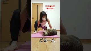 1日1個🍎生活96日目🍎朝活猫活#らりんご　#朝活 #diet #cat  #朝風呂 #猫 #ストレッチ #music