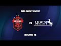 NPL Men’s NSW Round 16: Wollongong Wolves FC v Marconi Stallions FC