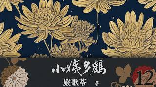 有声小说《小姨多鹤》第十二集  原著：严歌苓  #现代小说#中国文学#女性小说