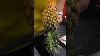 A master's neat pineapple cutting skill that cuts it with a sickle