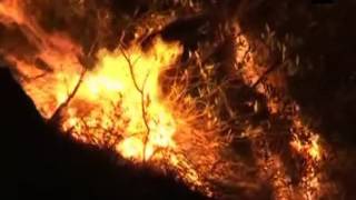 After Uttarakhand, forest fire engulfs J\u0026K’s Reasi