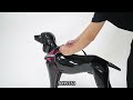 truelove outside walking dog harness tlh5753