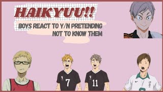 y/n prank: pretending not to know haikyuu!! boys || haikyuu imagines || chat fiction