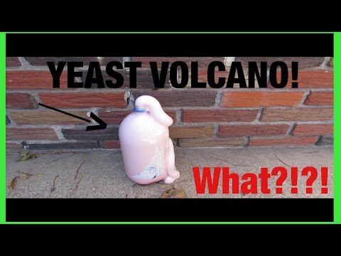 Yeast Volcano Yeast Volcano