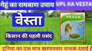 UPL का VESTA herbicide गेंहू मे चोडी व पतली पती खरपतवार नाशक(@Legend farmers )