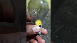 Growing Plant In Bulb Using Artificial Sunlight 🌱 || #shorts #vishalludele #trending #youtubeshorts