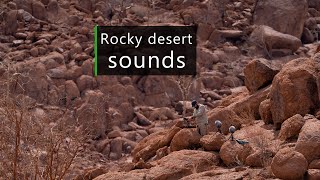 The subtle atmosphere of a rocky desert - Sounds of Namibia