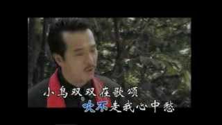 SK LIM 春泪 ( 绕梁金曲系列 一 ) 林思健