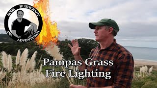 Pampas Grass Fire Lighting