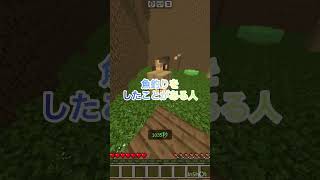 5つ以上当てはまったら天才！ #マインクラフト　#shorts