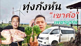 รถตู้นอน🚐ออนทัวร์EP#117 อ่อมไก่บ้านทุ่งกังหัน เที่ยวเขาค้อ จังหวัดเพชรบูรณ์