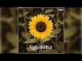 Dlala thukzin, Jazzwrld & Thukuthela x Gl Ceejay Ft. Sykes x DJ Skapter (Ngiyashisa)