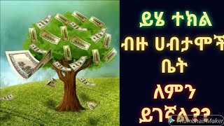 ገንዘብ እና ሀብት የሚስበው ተክል!!abel birhanu/!Dr.Rodas /የኔታ ትዩብ Yeneta Tube