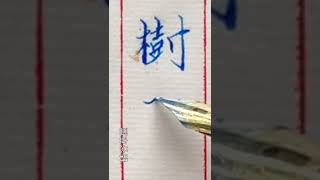 【一起寫字】鋼筆楷書 「一樹碧無情」