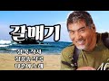 가황 ❤나훈아님의 명곡❤ 갈매기 1985년 2월 발매 두번 연속 듣기 ☆ 정욱 작사 정풍송 작곡 ☆