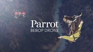 Catching Bebop Drones - with the FLYING frenchies