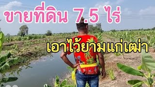 #ขายที่ดินราคาถูกมาก 7.5 ไร่กว่า ติดถนน ขายยกแปลง 2.55 ล้าน 0983875209 เมือง ลพบุรี