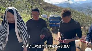 来盐源卖的第四个果园开卖了！这样的高山苹果大家看看品质如何