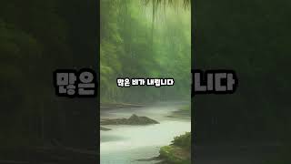 비가 엄청 내리는 나라 TOP 10