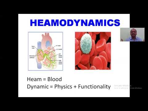 Hemodynamics - YouTube