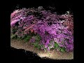 unity point cloud study