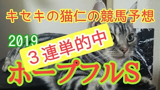 ホープフルステークス2019　３連単的中　馬単的中　ワイド的中　キセキの猫仁の競馬予想