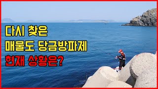 [ 제26화 - 본편 ] 구독자 3명과 함께한 매물도 당금방파제!!!