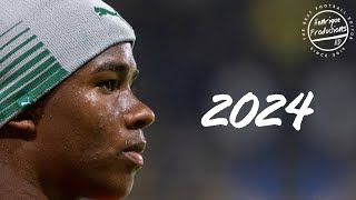 Endrick ► SE Palmeiras ● Goals and Skills ● 2024 | HD