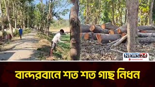 রাস্তা সংস্কারের অজুহাতে শত শত গাছ নিধন | Bandarban | Tree | News24