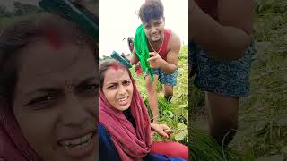 Aaj manu ji #aartichhotu #funny #shortvideos #comedy #minivlog #aartichotulovestory #viralvideos