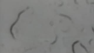 Weather Cam Facing Up in Yuma, Az 2020-02-10 (day)