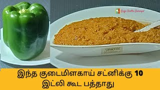 Capsicum Chutney | குடைமிளகாய் சட்னி | Side dish for Idli, Dosa, Rice | Chutney Variety