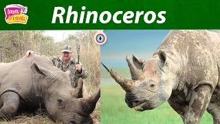 Rhinoceros 10 Facts with Bommi | Facts with BommiandFriends | WorldWideFacts