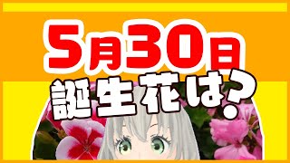 【花言葉】5月30日の誕生花は？／花白もか