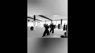 S.G.R Gekiken training! Shin-Ki-Tai Dojo Parma Italy　#italy #koryu #bujutsu  #budo  #武術 #武道　