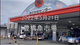 【輸入量激減】巨大サーモン販売⁉︎『豊橋魚市場』究極の仕入れ術