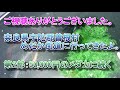 第1部：メダカの聖地　奈良県曽爾村にある『めだか街道』の桝田さんのメダカ買ってきました。