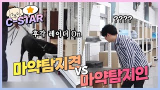 탐지견 VS 사람, 세기의 대결 결과는?