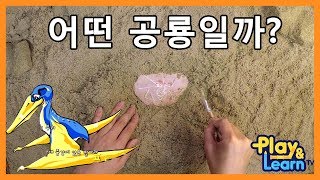 날개 발가락 공룡! 프테로닥틸루스 | 공룡뼈로 배우는 공룡이야기 전설의 발굴단 #20