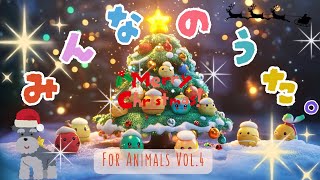 【ミニチュアシュナウザー】みんなのうたFor Animals Vol.4 | ワンコと楽しむ心温まるクリスマスソング♪🎄✨🐶🐱🐥2024年