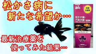 2022年12月に販売開始　最新松かさ病治療薬で松かさ病を治せるか。