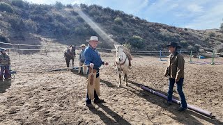 Agua Dulce Horsemanship Clinic - Winter 2025