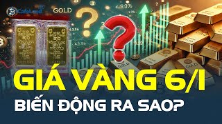 Giá vàng hôm nay 6/1: BIẾN ĐỘNG ra sao? | CafeLand