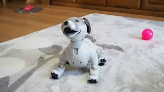 AIBO ジョン バーン