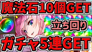 【魔法石10個】ガチャ5連もGET！バレンタインヴィーナスカップ立ち回り解説！虹メダルなども！8人対戦！8サク【パズドラ】