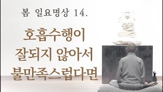 호흡수행이 잘되지 않아서 불만족스럽다면ㅣ봄 일요명상 13. ㅣ제따와나선원 2023.05.14