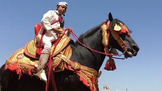 ندهة البراءة سي محمد غرّابو 11 سنة اصغر فارس في موسم ولاد سماعيل قصبة تادلة | Tbourida  Tadla 2019