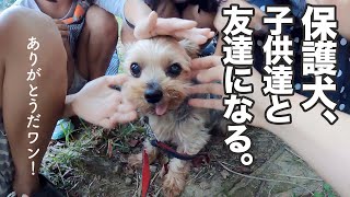 保護犬に、素敵な人間のお友達ができた日。【Day61】